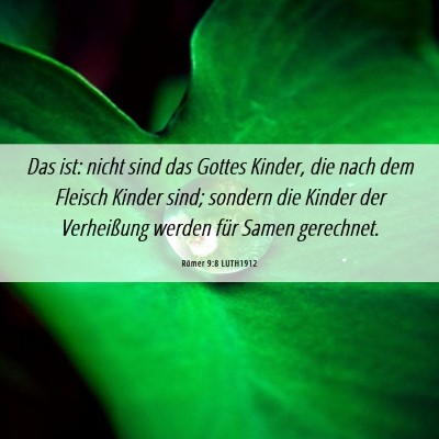 Picture 06 - Römer 9:8 LUTH1912 - Das ist: nicht sind das Gottes Kinder, die nach - Bible Verse Picture