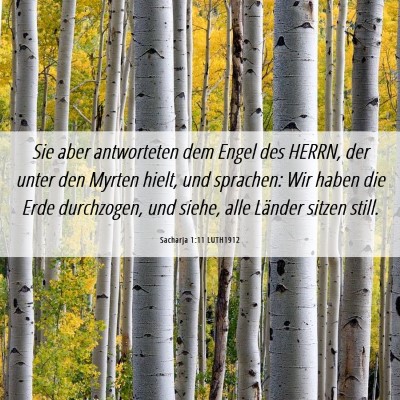 Picture 06 - Sacharja 1:11 LUTH1912 - Sie aber antworteten dem Engel des HERRN, der - Bible Verse Picture
