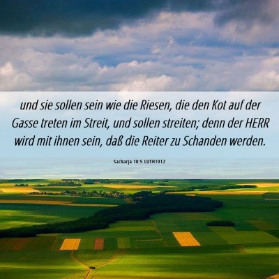Picture 06 - Sacharja 10:5 LUTH1912 - und sie sollen sein wie die Riesen, die den Kot - Bible Verse Picture