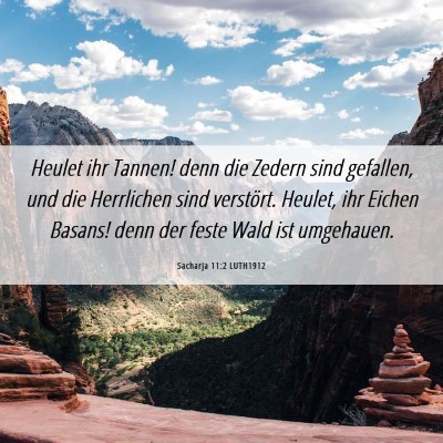 Picture 06 - Sacharja 11:2 LUTH1912 - Heulet ihr Tannen! denn die Zedern sind gefallen, - Bible Verse Picture