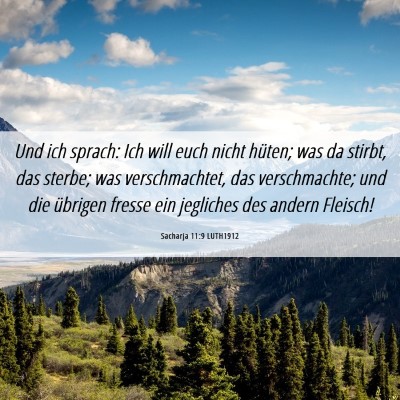 Picture 06 - Sacharja 11:9 LUTH1912 - Und ich sprach: Ich will euch nicht hüten; was - Bible Verse Picture