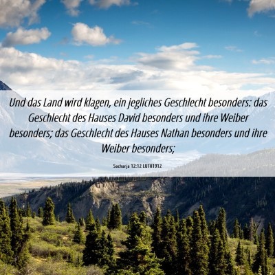 Picture 06 - Sacharja 12:12 LUTH1912 - Und das Land wird klagen, ein jegliches - Bible Verse Picture
