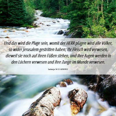 Picture 06 - Sacharja 14:12 LUTH1912 - Und das wird die Plage sein, womit der HERR - Bible Verse Picture
