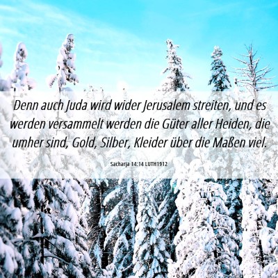 Picture 06 - Sacharja 14:14 LUTH1912 - Denn auch Juda wird wider Jerusalem streiten, und - Bible Verse Picture
