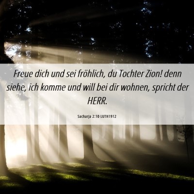 Picture 06 - Sacharja 2:10 LUTH1912 - Freue dich und sei fröhlich, du Tochter Zion! - Bible Verse Picture