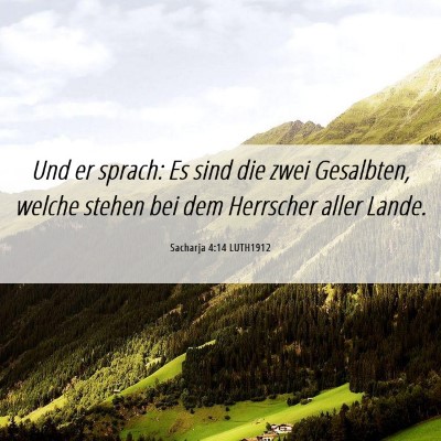 Picture 06 - Sacharja 4:14 LUTH1912 - Und er sprach: Es sind die zwei Gesalbten, welche - Bible Verse Picture