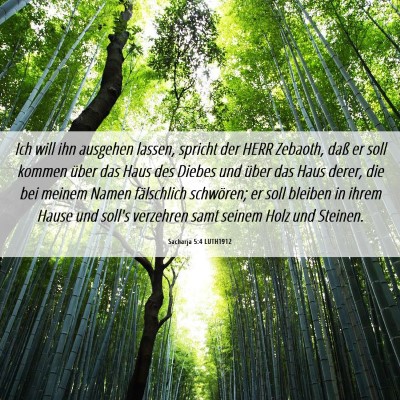 Picture 06 - Sacharja 5:4 LUTH1912 - Ich will ihn ausgehen lassen, spricht der HERR - Bible Verse Picture