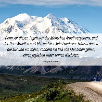 Picture 06 - Sacharja 8:10 LUTH1912 - Denn vor diesen Tagen war der Menschen Arbeit - Bible Verse Picture