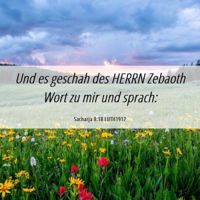 Picture 06 - Sacharja 8:18 LUTH1912 - Und es geschah des HERRN Zebaoth Wort zu mir und - Bible Verse Picture