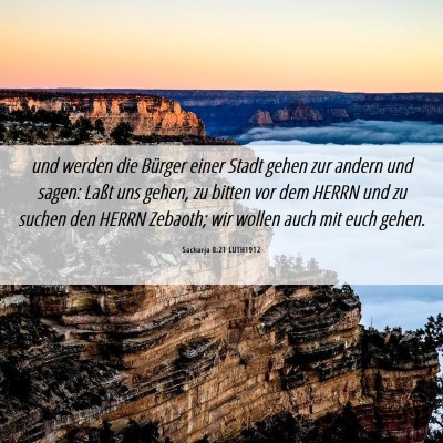 Picture 06 - Sacharja 8:21 LUTH1912 - und werden die Bürger einer Stadt gehen zur - Bible Verse Picture