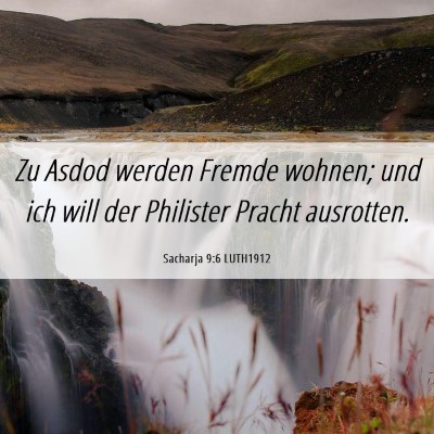 Picture 06 - Sacharja 9:6 LUTH1912 - Zu Asdod werden Fremde wohnen; und ich will der - Bible Verse Picture