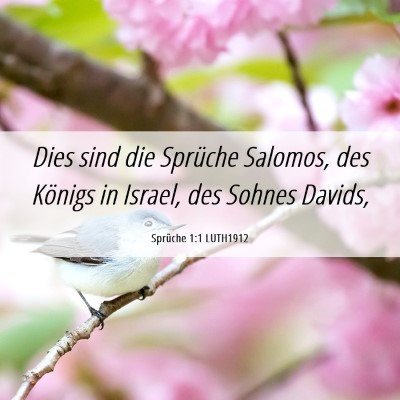 Picture 06 - Sprüche 1:1 LUTH1912 - Dies sind die Sprüche Salomos, des Königs in - Bible Verse Picture