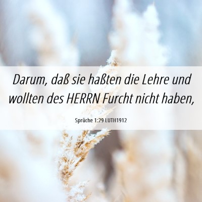 Picture 06 - Sprüche 1:29 LUTH1912 - Darum, daß sie haßten die Lehre und wollten des - Bible Verse Picture