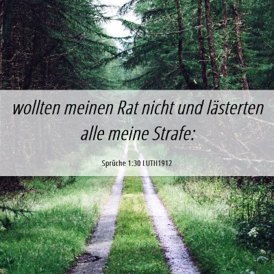 Picture 06 - Sprüche 1:30 LUTH1912 - wollten meinen Rat nicht und lästerten alle - Bible Verse Picture