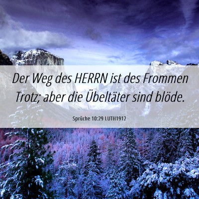 Picture 06 - Sprüche 10:29 LUTH1912 - Der Weg des HERRN ist des Frommen Trotz; aber die - Bible Verse Picture