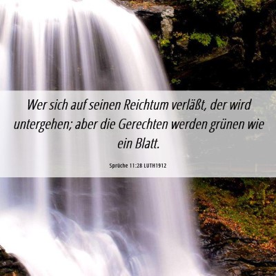 Picture 06 - Sprüche 11:28 LUTH1912 - Wer sich auf seinen Reichtum verläßt, der wird - Bible Verse Picture
