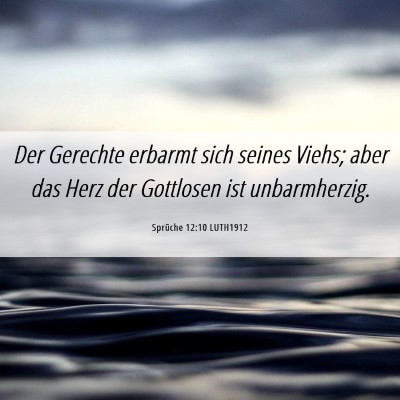 Picture 06 - Sprüche 12:10 LUTH1912 - Der Gerechte erbarmt sich seines Viehs; aber das - Bible Verse Picture