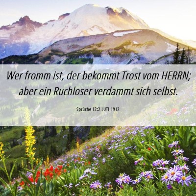 Picture 06 - Sprüche 12:2 LUTH1912 - Wer fromm ist, der bekommt Trost vom HERRN; aber - Bible Verse Picture