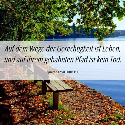 Picture 06 - Sprüche 12:28 LUTH1912 - Auf dem Wege der Gerechtigkeit ist Leben, und auf - Bible Verse Picture