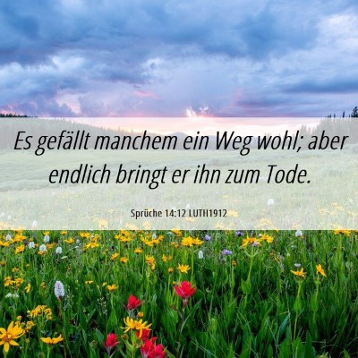 Picture 06 - Sprüche 14:12 LUTH1912 - Es gefällt manchem ein Weg wohl; aber endlich - Bible Verse Picture