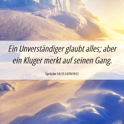 Picture 06 - Sprüche 14:15 LUTH1912 - Ein Unverständiger glaubt alles; aber ein Kluger - Bible Verse Picture