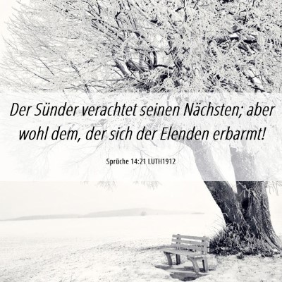 Picture 06 - Sprüche 14:21 LUTH1912 - Der Sünder verachtet seinen Nächsten; aber wohl - Bible Verse Picture