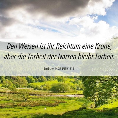 Picture 06 - Sprüche 14:24 LUTH1912 - Den Weisen ist ihr Reichtum eine Krone; aber die - Bible Verse Picture