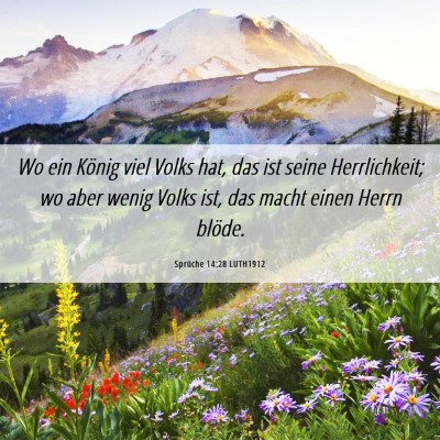 Picture 06 - Sprüche 14:28 LUTH1912 - Wo ein König viel Volks hat, das ist seine - Bible Verse Picture
