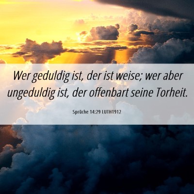 Picture 06 - Sprüche 14:29 LUTH1912 - Wer geduldig ist, der ist weise; wer aber - Bible Verse Picture
