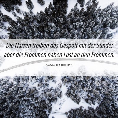 Picture 06 - Sprüche 14:9 LUTH1912 - Die Narren treiben das Gespött mit der Sünde; - Bible Verse Picture