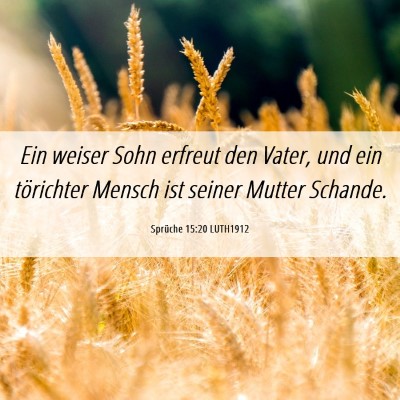 Picture 06 - Sprüche 15:20 LUTH1912 - Ein weiser Sohn erfreut den Vater, und ein - Bible Verse Picture