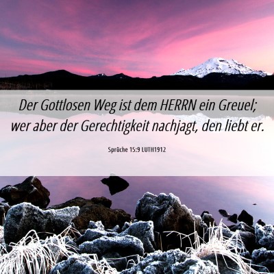 Picture 06 - Sprüche 15:9 LUTH1912 - Der Gottlosen Weg ist dem HERRN ein Greuel; wer - Bible Verse Picture