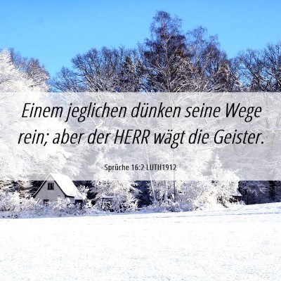 Picture 06 - Sprüche 16:2 LUTH1912 - Einem jeglichen dünken seine Wege rein; aber der - Bible Verse Picture