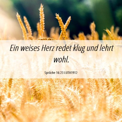 Picture 06 - Sprüche 16:23 LUTH1912 - Ein weises Herz redet klug und lehrt - Bible Verse Picture