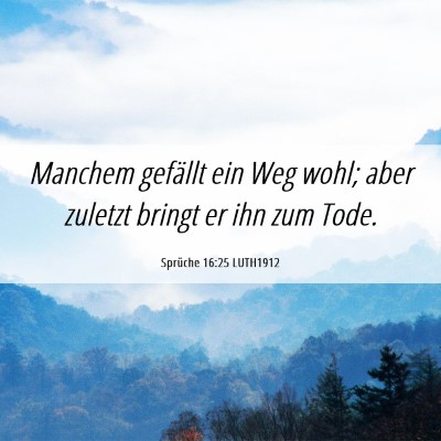 Picture 06 - Sprüche 16:25 LUTH1912 - Manchem gefällt ein Weg wohl; aber zuletzt - Bible Verse Picture