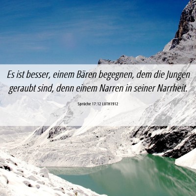 Picture 06 - Sprüche 17:12 LUTH1912 - Es ist besser, einem Bären begegnen, dem die - Bible Verse Picture