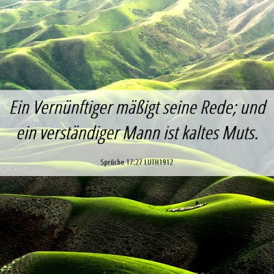 Picture 06 - Sprüche 17:27 LUTH1912 - Ein Vernünftiger mäßigt seine Rede; und ein - Bible Verse Picture