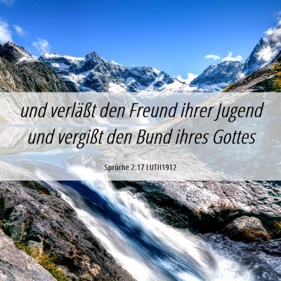 Picture 06 - Sprüche 2:17 LUTH1912 - und verläßt den Freund ihrer Jugend und - Bible Verse Picture