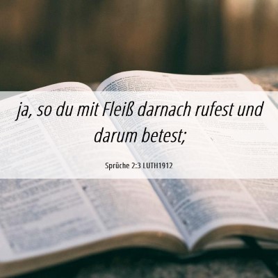 Picture 06 - Sprüche 2:3 LUTH1912 - ja, so du mit Fleiß darnach rufest und darum - Bible Verse Picture