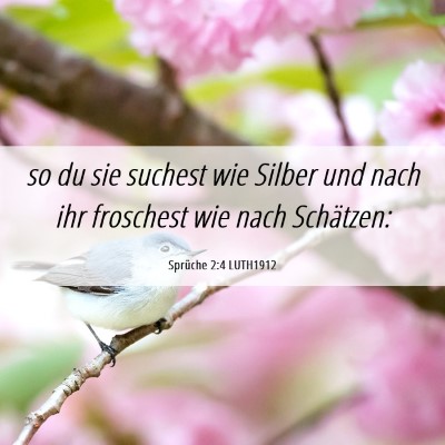 Picture 06 - Sprüche 2:4 LUTH1912 - so du sie suchest wie Silber und nach ihr - Bible Verse Picture