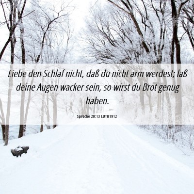 Picture 06 - Sprüche 20:13 LUTH1912 - Liebe den Schlaf nicht, daß du nicht arm - Bible Verse Picture