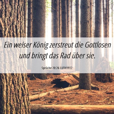 Picture 06 - Sprüche 20:26 LUTH1912 - Ein weiser König zerstreut die Gottlosen und - Bible Verse Picture