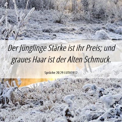 Picture 06 - Sprüche 20:29 LUTH1912 - Der Jünglinge Stärke ist ihr Preis; und graues - Bible Verse Picture