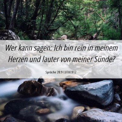 Picture 06 - Sprüche 20:9 LUTH1912 - Wer kann sagen: Ich bin rein in meinem Herzen und - Bible Verse Picture