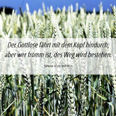 Picture 06 - Sprüche 21:29 LUTH1912 - Der Gottlose fährt mit dem Kopf hindurch; aber - Bible Verse Picture