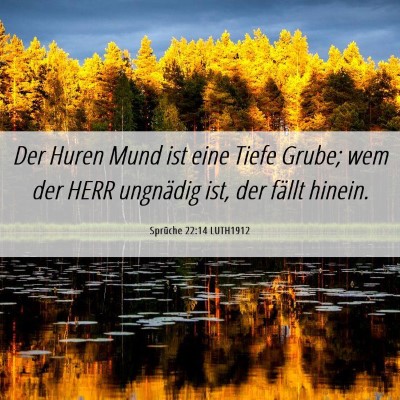 Picture 06 - Sprüche 22:14 LUTH1912 - Der Huren Mund ist eine Tiefe Grube; wem der HERR - Bible Verse Picture