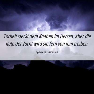Picture 06 - Sprüche 22:15 LUTH1912 - Torheit steckt dem Knaben im Herzen; aber die - Bible Verse Picture