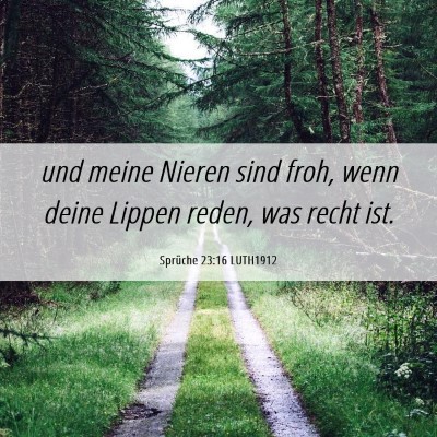 Picture 06 - Sprüche 23:16 LUTH1912 - und meine Nieren sind froh, wenn deine Lippen - Bible Verse Picture