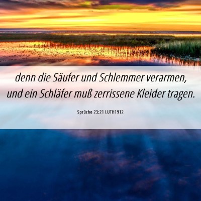 Picture 06 - Sprüche 23:21 LUTH1912 - denn die Säufer und Schlemmer verarmen, und ein - Bible Verse Picture