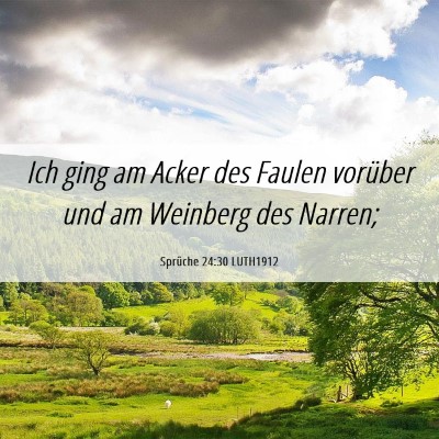 Picture 06 - Sprüche 24:30 LUTH1912 - Ich ging am Acker des Faulen vorüber und am - Bible Verse Picture